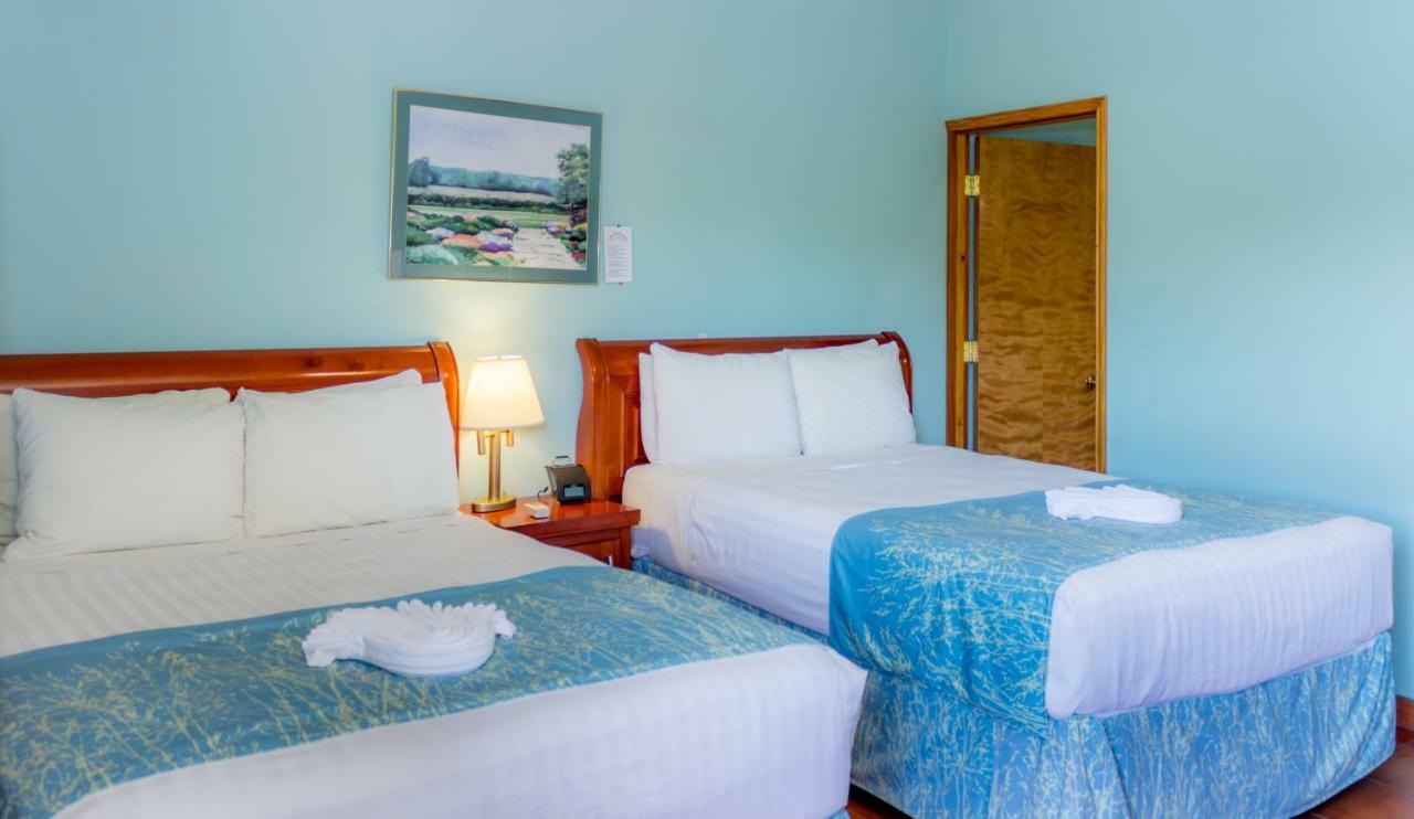 Rolson Hotel Сан Игнасио Екстериор снимка
